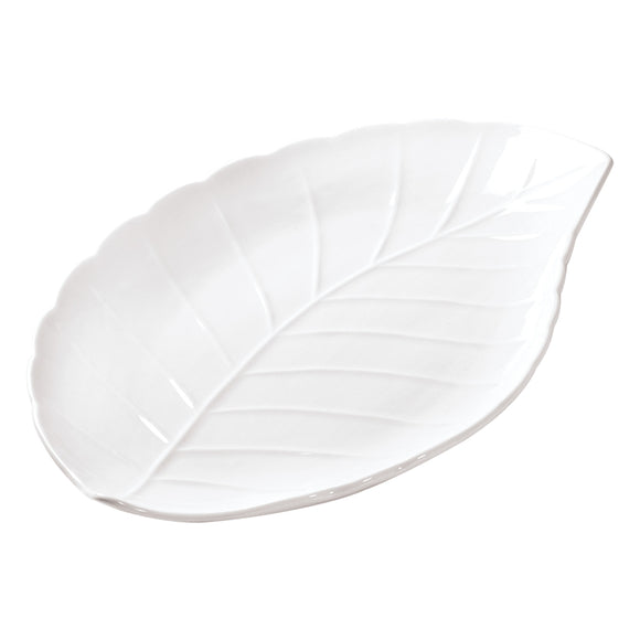 Laurel Fuente hoja