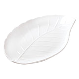 Laurel Fuente hoja