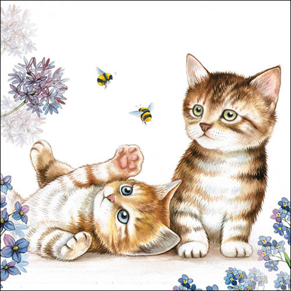 Servilletas papel gatitos